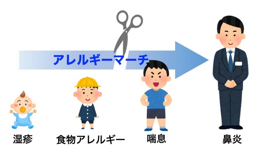 安全で効果的なアレルギー治療を可能にする経口ナノ粒子製剤の開発に
